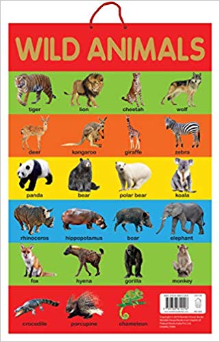 Wonder house Early Learning Educational Poster Wild Animals